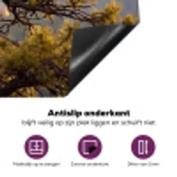 Zeearend - Boom - Bergen - Groen Inductie beschermer vinyl 3mm klein -zzzzzzz-cc-onderkant