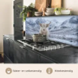 Schotse Hooglander - Sneeuw - Bergen - Winter keuken achterwand 2 middel -usp_NL