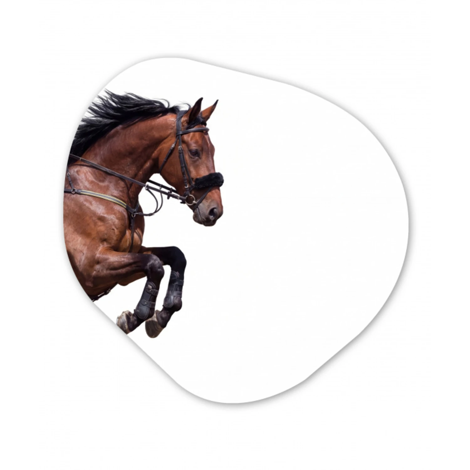 Paard - Springen - Modern Wandcirkel Organisch Forex 3mm klein -3d