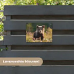 Beer - Bloemenveld - Gras tuinposter los doek klein -sfeer3