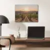 Wijngaard - Zonsondergang - Landschap PET vilt klein -sfeer5