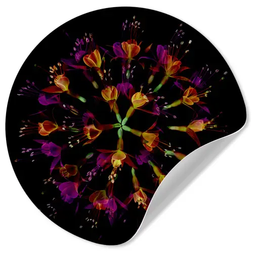 Bloemen - Oranje - Roze - Zwart Wandcirkel behangsticker klein -3d