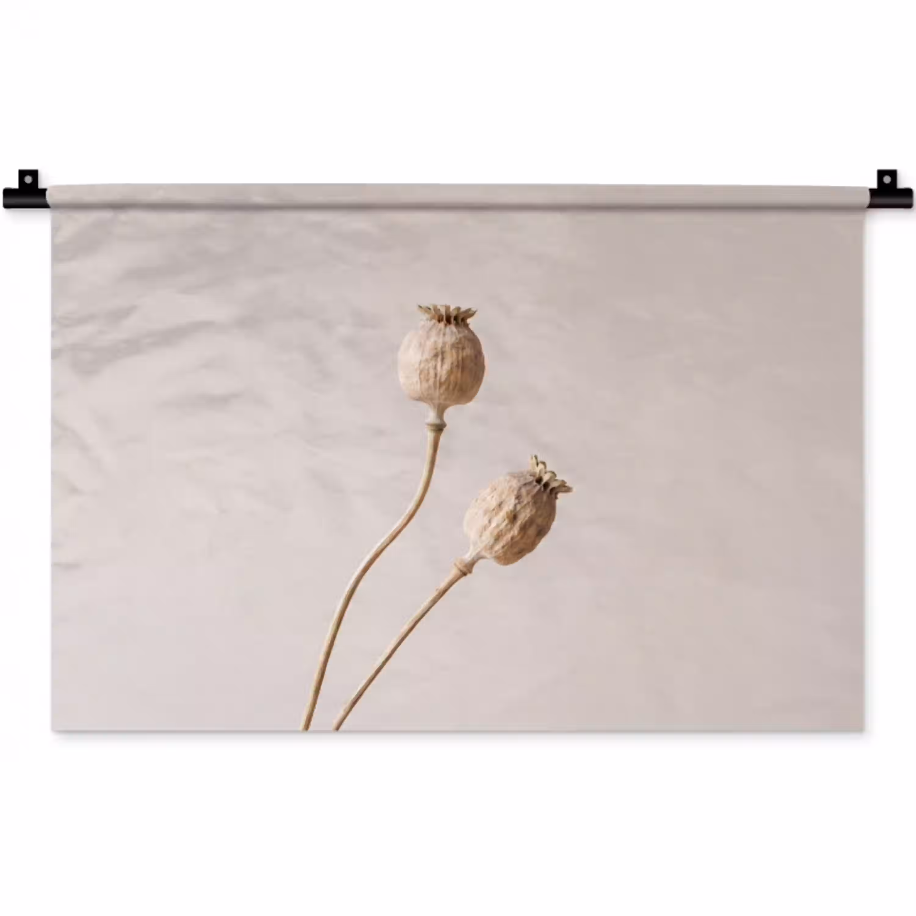 Papaverbollen - Droogbloemen - Minimalistisch - Beige - Rustig Wandkleed katoen klein -zz3d