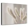 Pampasgras - Pluim - Wit Textielframe zwart klein -3d