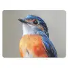 Kleurrijk - Vogeltje - Veren - Blauw muismat rubber klein -3d