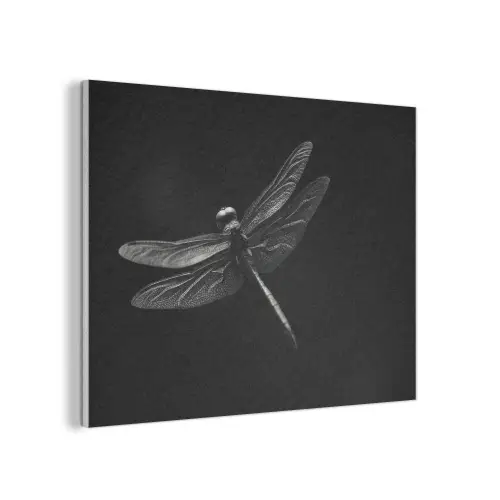 Libelle - Dieren - Zwart - Insect PET vilt klein -3d