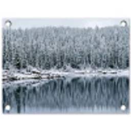 Bos - Reflectie - Meer - Winter - Serene tuinposter los doek klein -3d