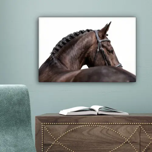 Portret - Paard - Elegant canvas 2cm klein -sfeer4
