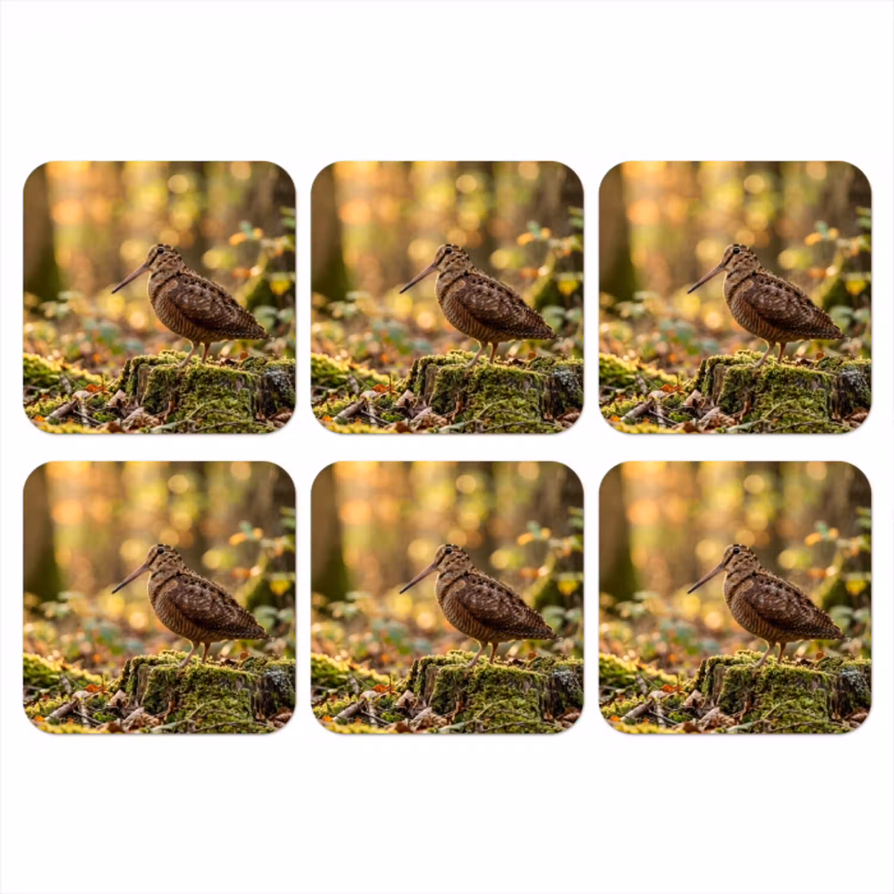 Houtsnip - Bos - Bladeren - Herfst - Gecamoufleerd onderzetter kurk middel -3d