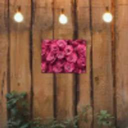 Rozen - Pink - Bloem tuinposter los doek klein -sfeer1