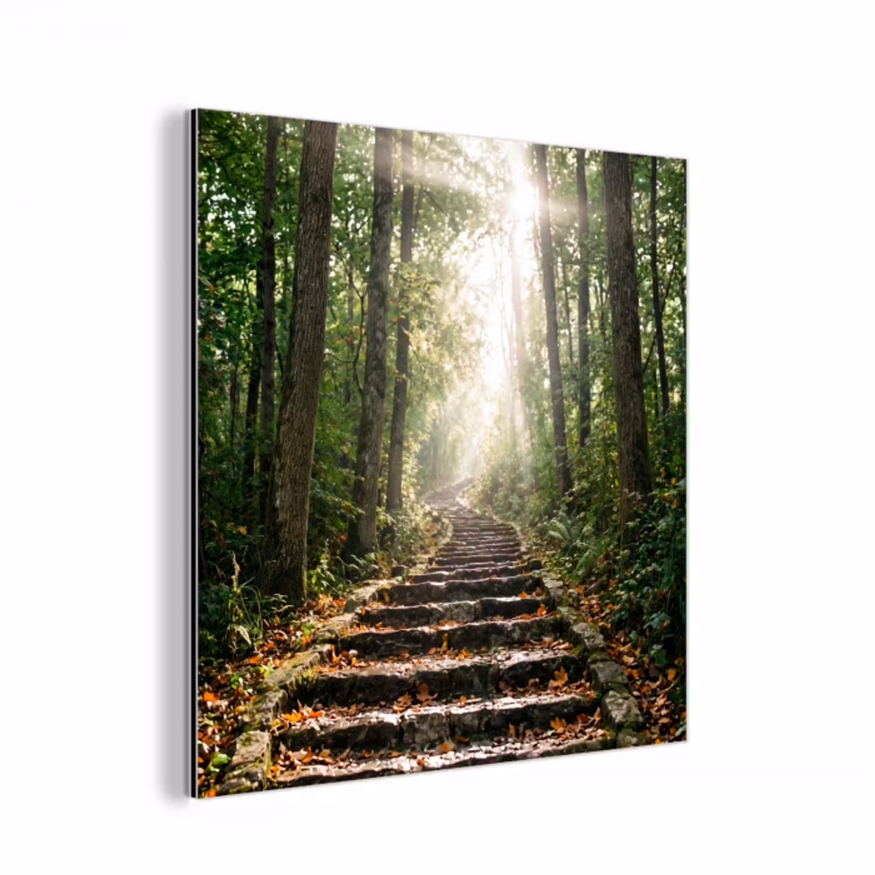 Stenen - Trap - Bos - Natuur aluminium wit klein -3d