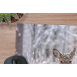 Hert - Sneeuw - Bos - Dieren - Vertederend muismat rubber klein -closeup