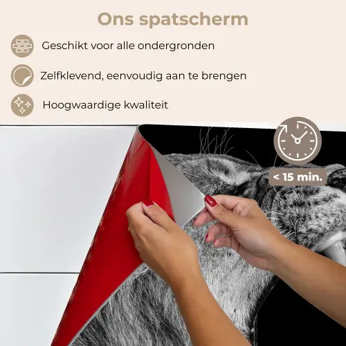 Dieren - Leeuw - Zwart - Wit - Portret keuken achterwand spatscherm klein -spatscherm_NL