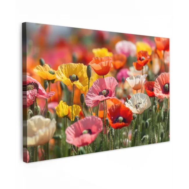 Outdoor Canvas Print - Field of flowers - Poppies - Colorful