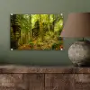Bomen - Steen - Bos - Natuur - Planten plexiglas 5mm klein -sfeer3