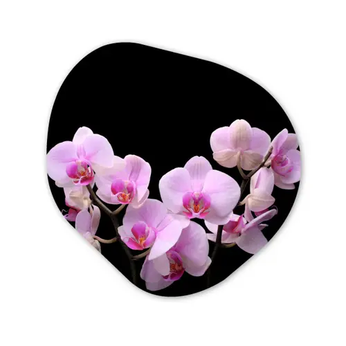 Orchidee - Bloemen - Roze - Flora Wandcirkel Organisch Forex 3mm klein -3d