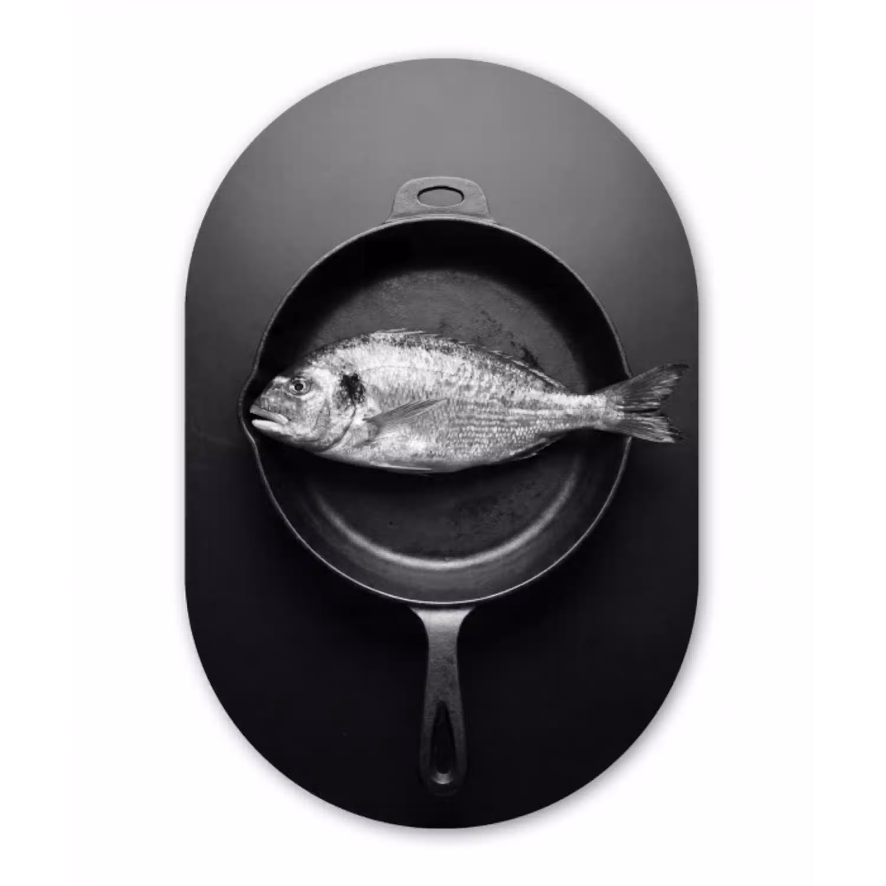 Pan - Vis - Zwart - Wit Wandcirkel Ovaal Aluminium middel -3d
