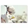 Planten - Bloem - Tak - Natuur Placemat vinyl groot -zzsfeer1_Kitchenyeah-website