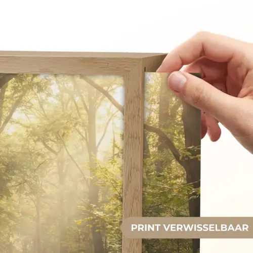 Zonlicht - Bospad - Bomen Light Box met batterij (Wandlamp) middel -USP_websiteprintNL