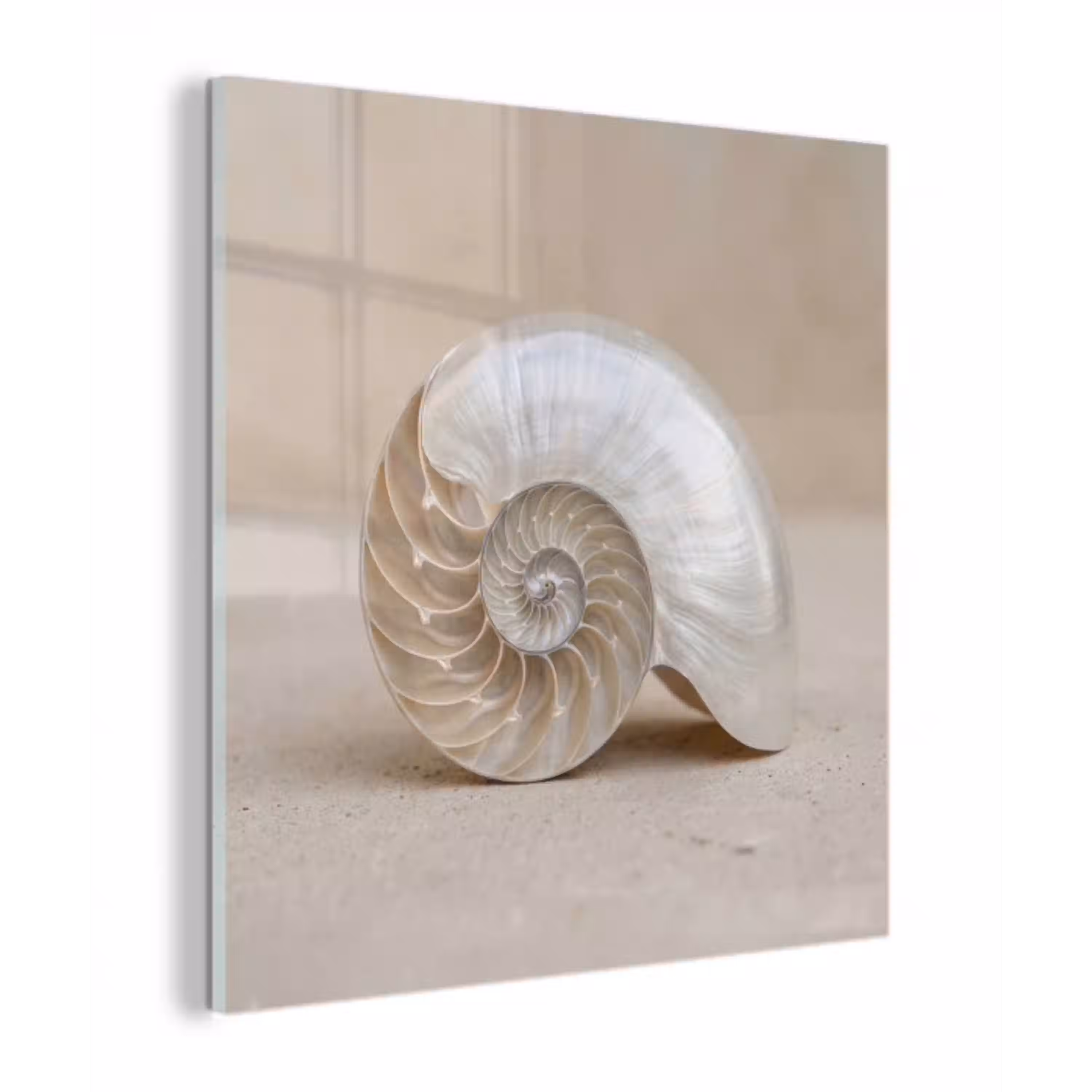 Schelp - Spiraal - Beige plexiglas 5mm klein -z3d