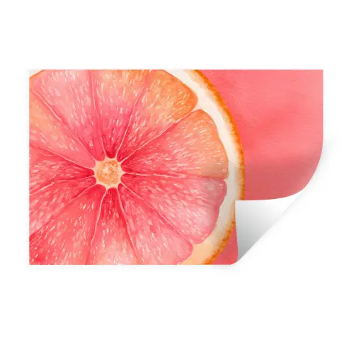 Grapefruit - Roze - Levendig Muursticker klein -3d