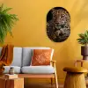 Wilde dieren - Panter - Portret - Zwart - Dieren Wandcirkel Ovaal Forex klein -sfeer4