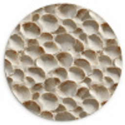 Schelpen - Waaiervorm - Wit Wandcirkel kunststof plaat 5mm dik klein 188 -3d
