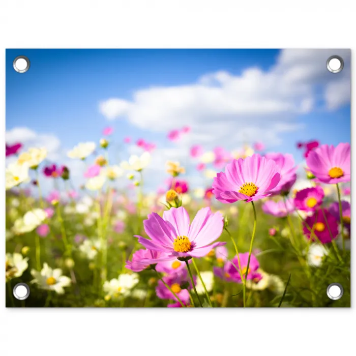 Bloemen - Wei - Paars - Gras - Wit - Wolken - Blauw tuinposter los doek klein -3d
