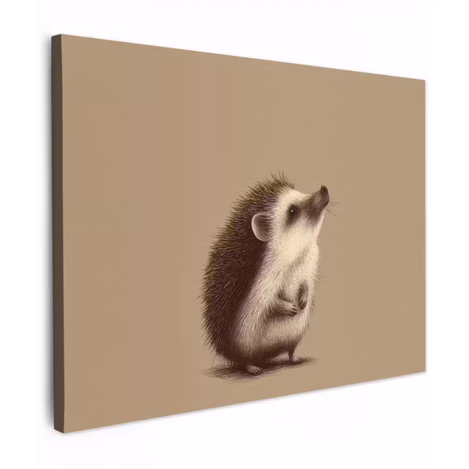 Canvas schilderij - Egel - Snuitje - Bruin - Stekels