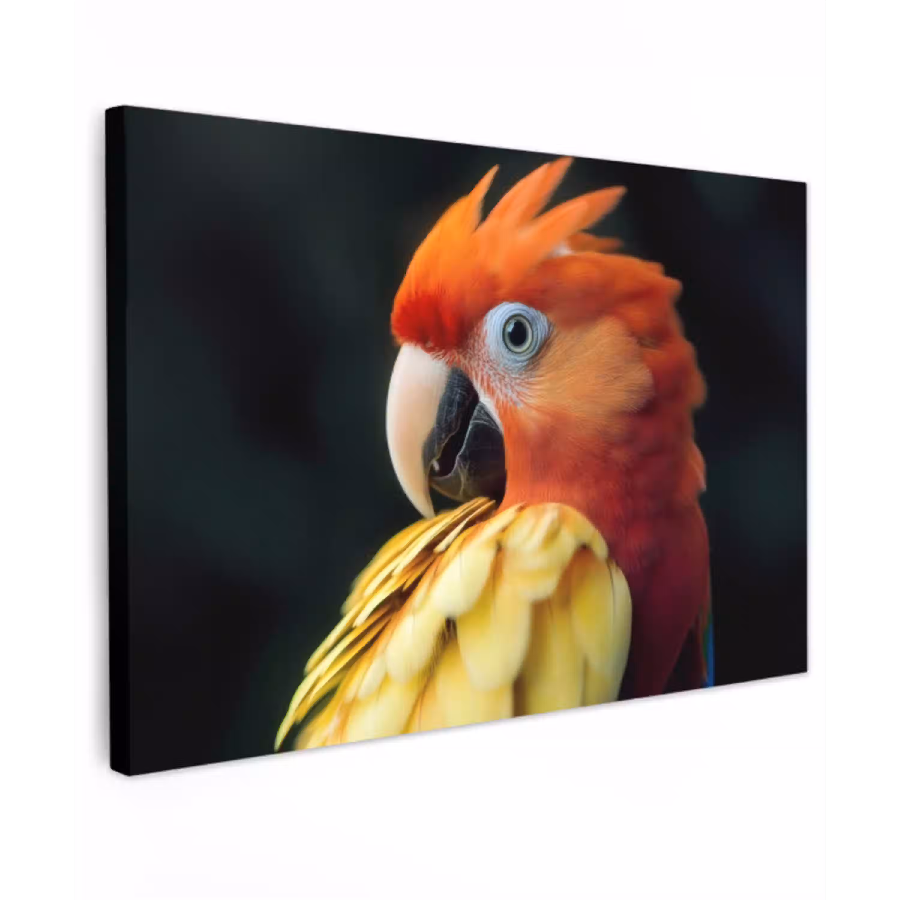 Close-up - Papegaai - Veren - Oranje Tuinposter op houten frame 2 cm dik klein -3d