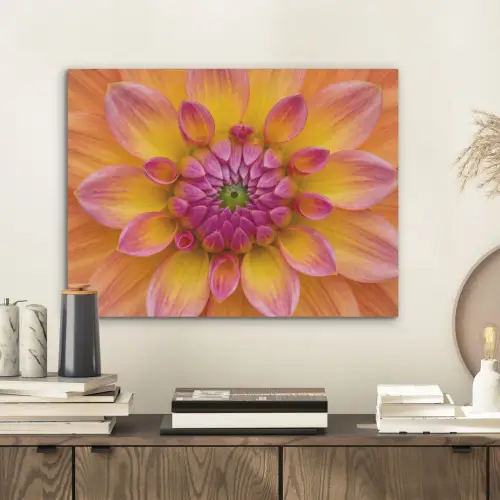 Dahlia - Bloem - Oranje PET vilt klein -sfeer1