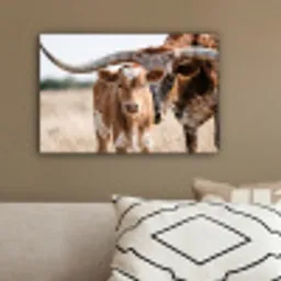 Texas Longhorn - Kalf - Weide - Dieren canvas 2cm klein -sfeer3