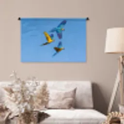 Papagaai - Vliegen - Blauw - Geel Wandkleed katoen middel -sfeer4