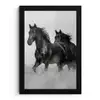 Paarden - Gras - Zwart - Wit fotolijst zwart zonder passe partout klein -3d