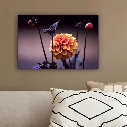 Bloemen - Chrysant - Macro - Planten canvas 2cm klein -sfeer3