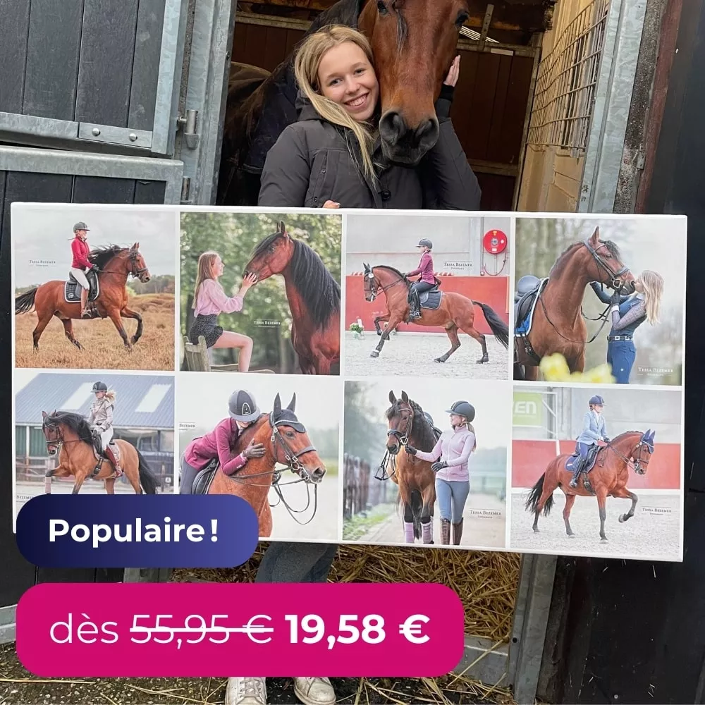 Populaire! Des 55,95  € 19,58  €