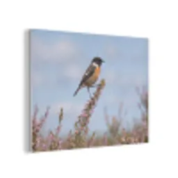 Roodborsttapuit - Heide - Paars - Natuur - Sfeervol PET vilt klein -3d