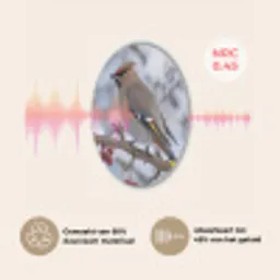 Pestvogel - Bessen - Winter - Natuur Akoestische PET Vilt - Rond klein -USP_NL