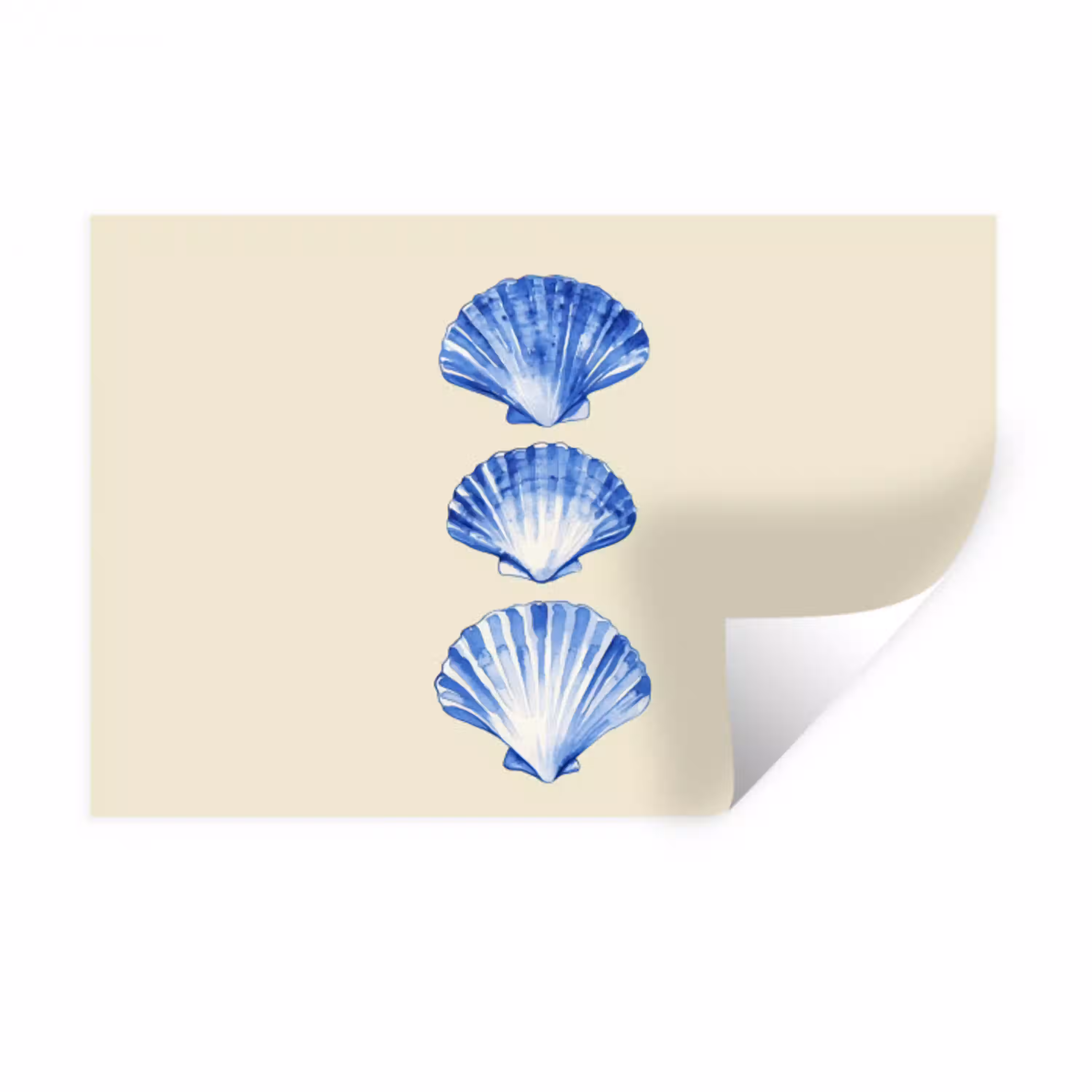 Schelpen - Blauw - Beige Muursticker klein -3d