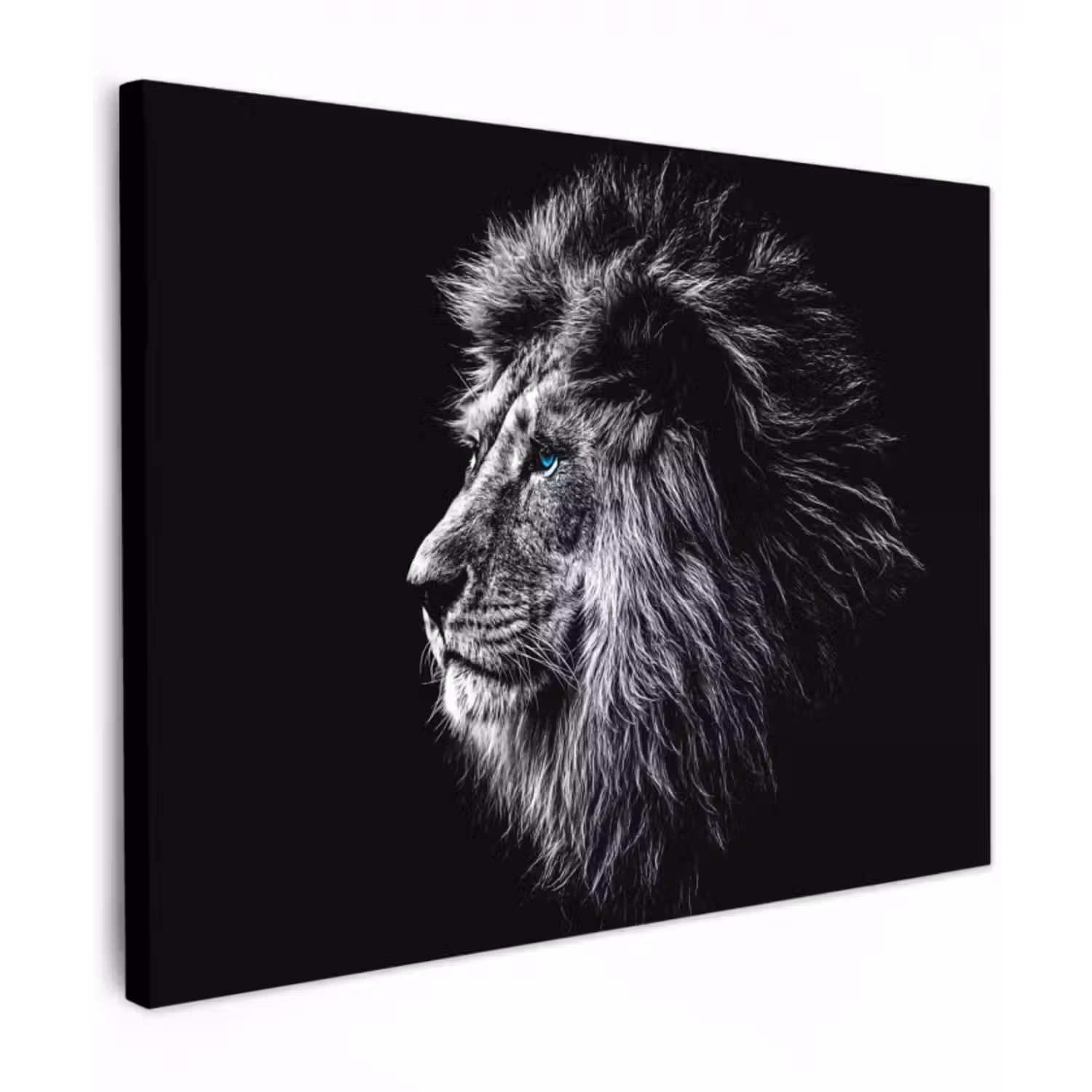 Leinwandbild - Schwarz und weiß - Löwe - Kopf - Tiere