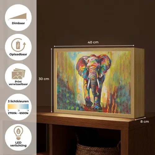 Olifant - Kunst - Schilderij - Dieren - Regenboog Light Box met batterij (Wandlamp) middel -USP_websiteoverzichtNL