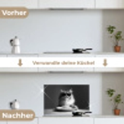 Langharige kat - Zonnebril - Spaghetti - Humor - Zwart - wit keuken achterwand spatscherm klein -voor_na_DE
