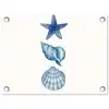 Zeester - Schelpen - Blauw tuinposter los doek klein -3d