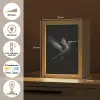Kolibrie - Zwart - Dieren Light Box met kabel (Tafellamp) klein -USP_NL