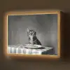 Bengaal - Kat - Tafelkleed - Zwart - Wit - Dier Light Box met batterij (Wandlamp) middel -z3d_website
