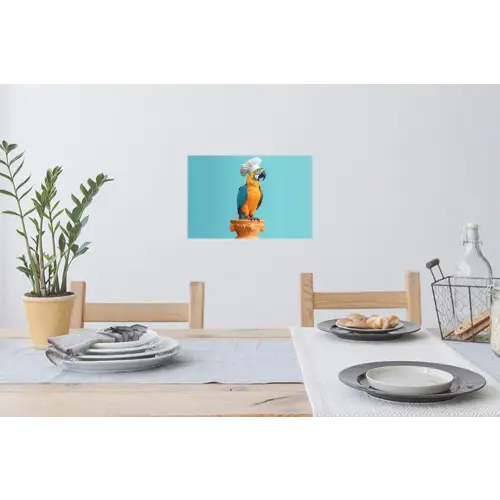 Papegaai - Koksmuts - Grappig - Vogel Muursticker klein -eettafel