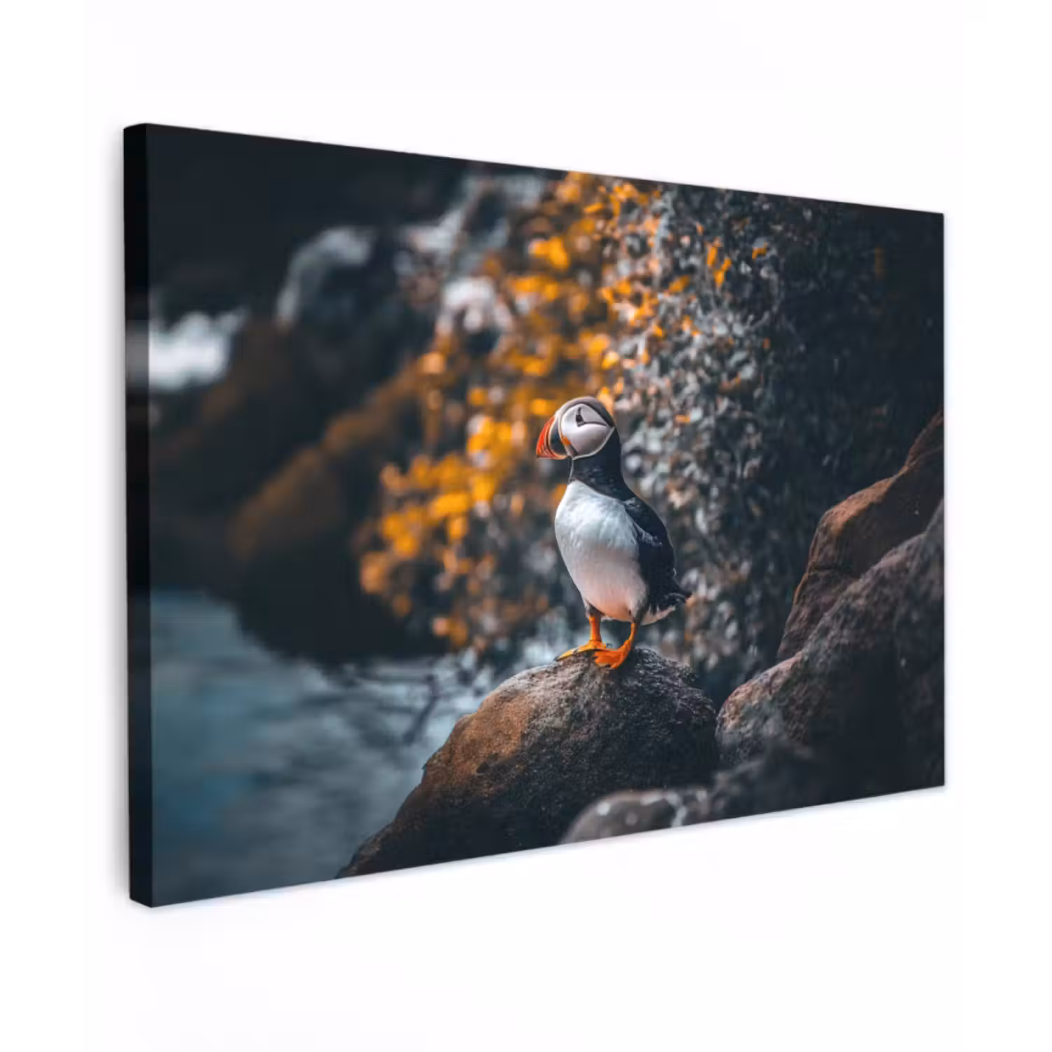 Canvas schilderij - Papegaai - Vogel - Rots - Wit
