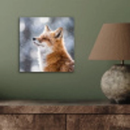 Vos - Sneeuwval - Portret - Winter - Sfeervol aluminium wit klein -sfeer2