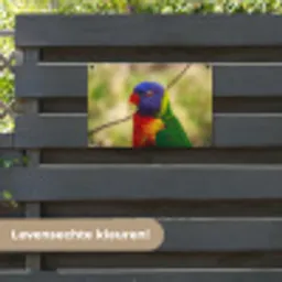 Vogel - Parkiet - Blauw tuinposter los doek klein -sfeer3