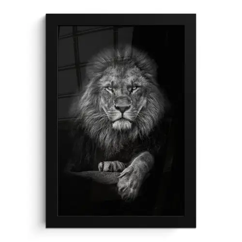 Leeuw - Dieren - Zwart - Wit fotolijst zwart zonder passe partout klein -3d
